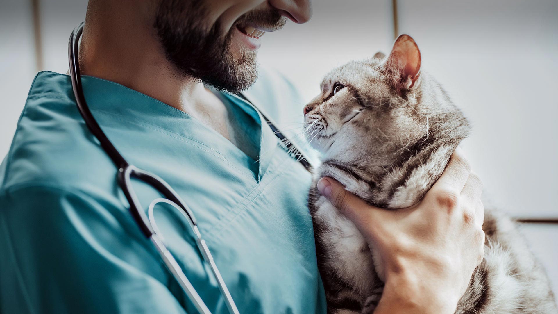 Koyulhisar Veteriner